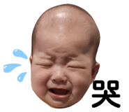 298592881