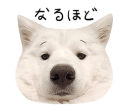 298626224