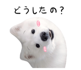 298626229