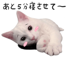 298626250