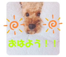 298643770
