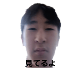 298653933