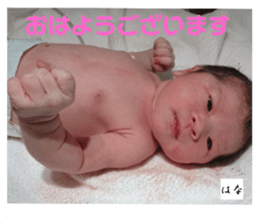 298664111