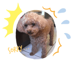 298666280