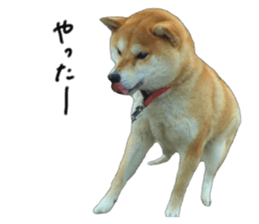 29868950