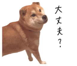 29868951