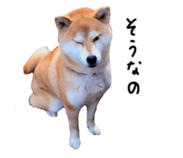 29868953