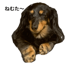 298732223