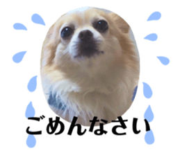 298837985