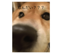 298845175