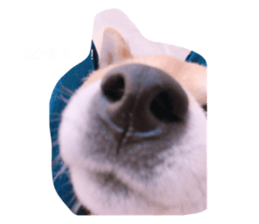 298845177