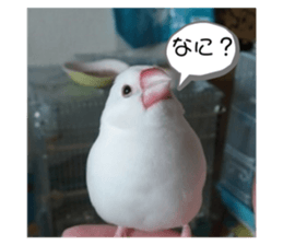 298912068