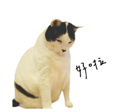 299030043