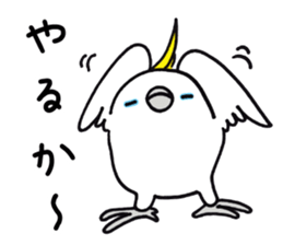 2990504