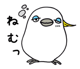 2990520