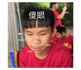 299062896