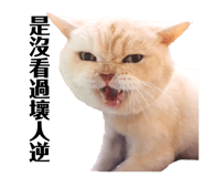 299197843