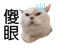 299197850