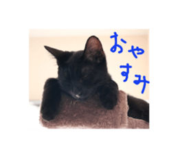 299266434
