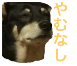 299273379
