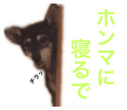 299273381
