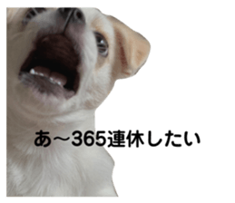 299304893