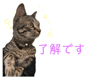 299360976