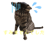 299360978