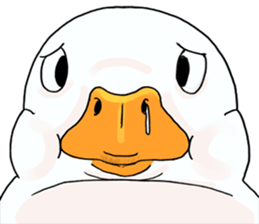299467492