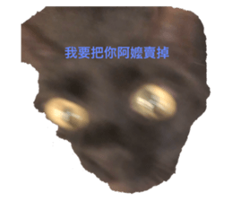 299478528