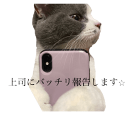 299507752