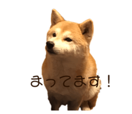 299536663