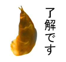 299741838