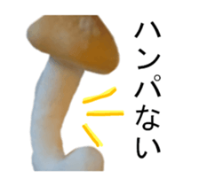 299741844