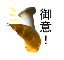 299741848