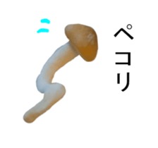 299741849