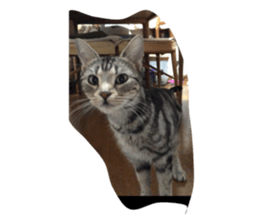 299747914