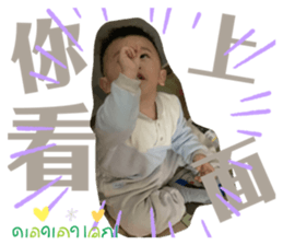300119512