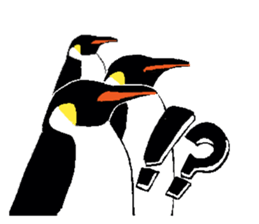 300400764