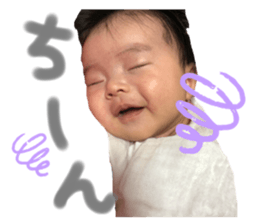 300424455