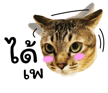 ลายที่ 5