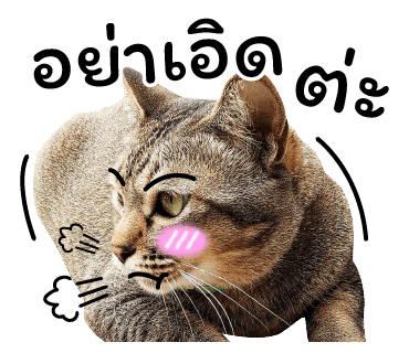 ลายที่ 12