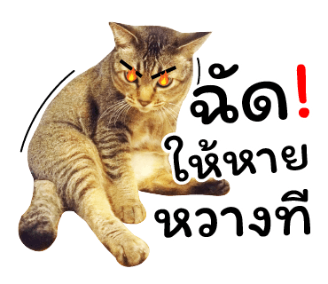 ลายที่ 23