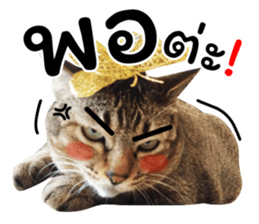 ลายที่ 55