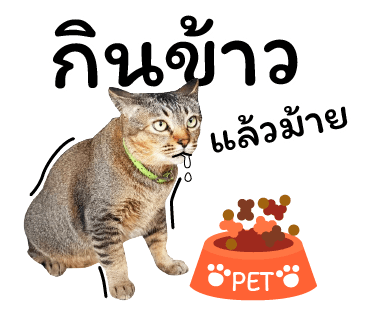 ลายที่ 33