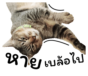 ลายที่ 34