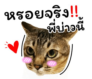 ลายที่ 37