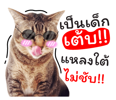ลายที่ 40