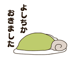 300500206