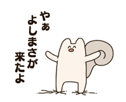 300503550